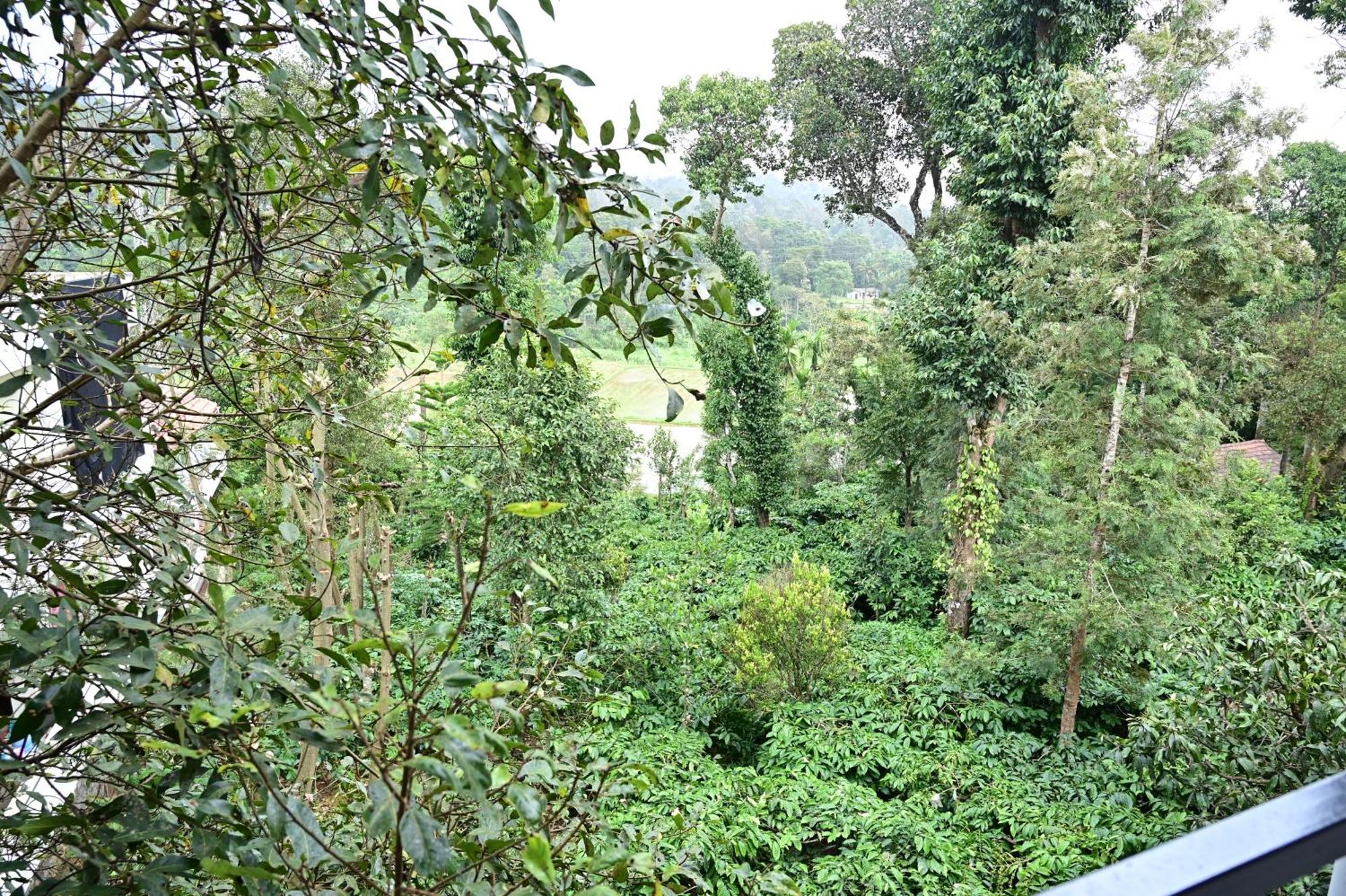 Grand Misty Heaven Villa Madikeri Kültér fotó