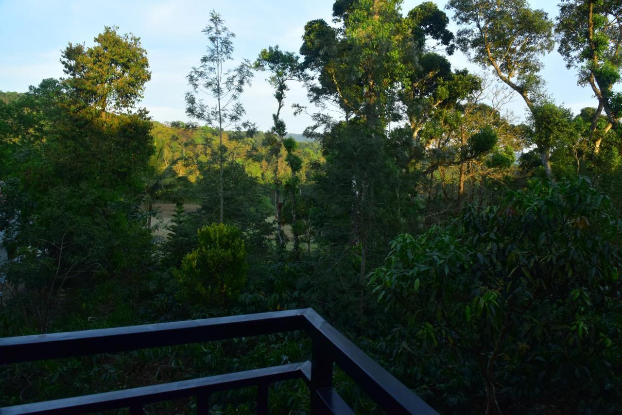 Grand Misty Heaven Villa Madikeri Kültér fotó